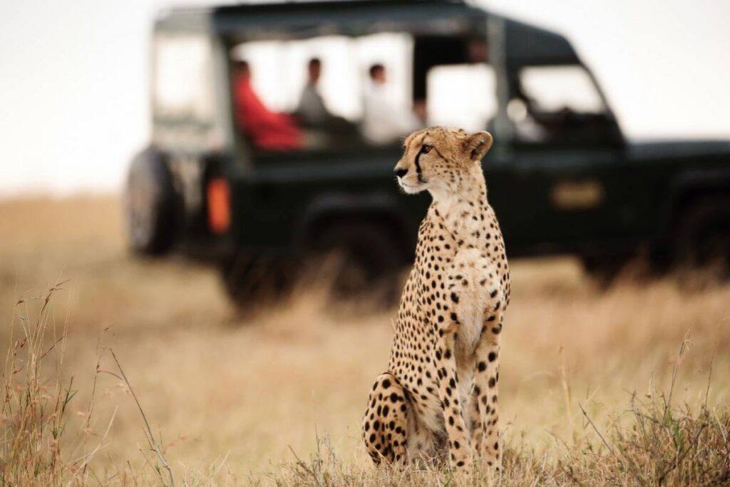 Best in African Safari Holidays - Safari Africa Holidays