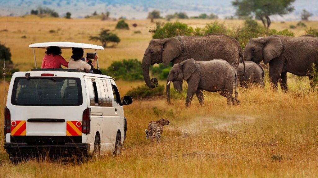 safari africa holiday